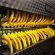 Network cabling for a Burnley office and warehouse
